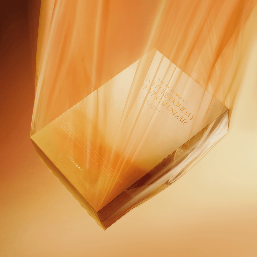 SKIN1004 24-piece Kit [Pre-Order] Signature Holiday Advent Calendar 2025